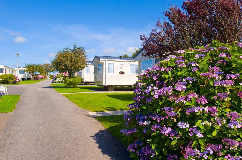 Wooda Farm Holidays Bude Room photo